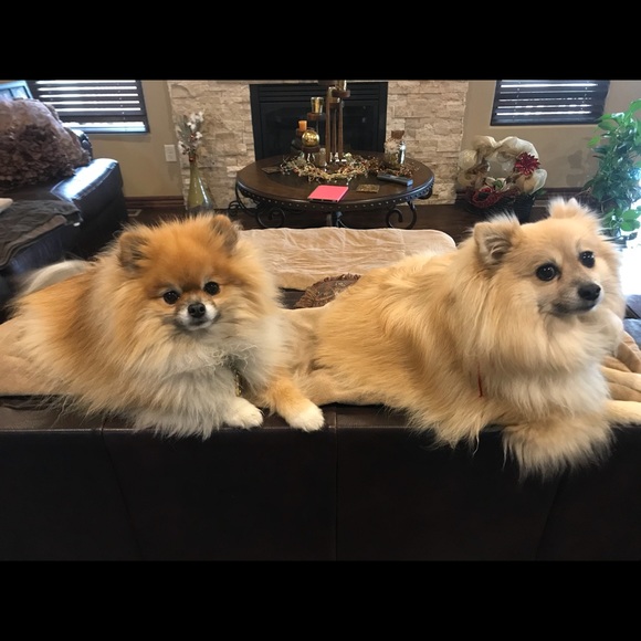 Meet your Posher, Dana - Picture 6 of 8